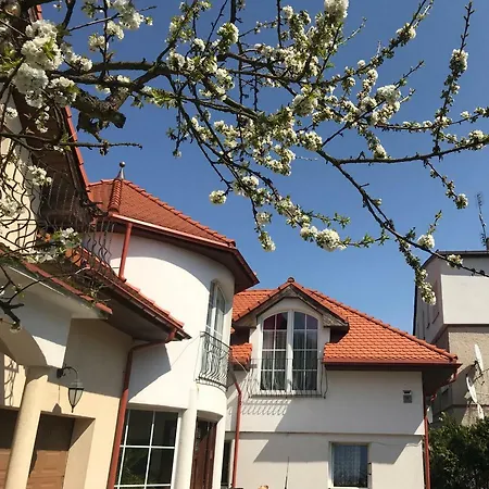Apartamenty W Ogrodzie Bad Altheide Exterior foto