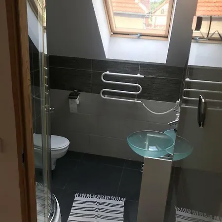 Apartamenty W Ogrodzie Bad Altheide Exterior foto